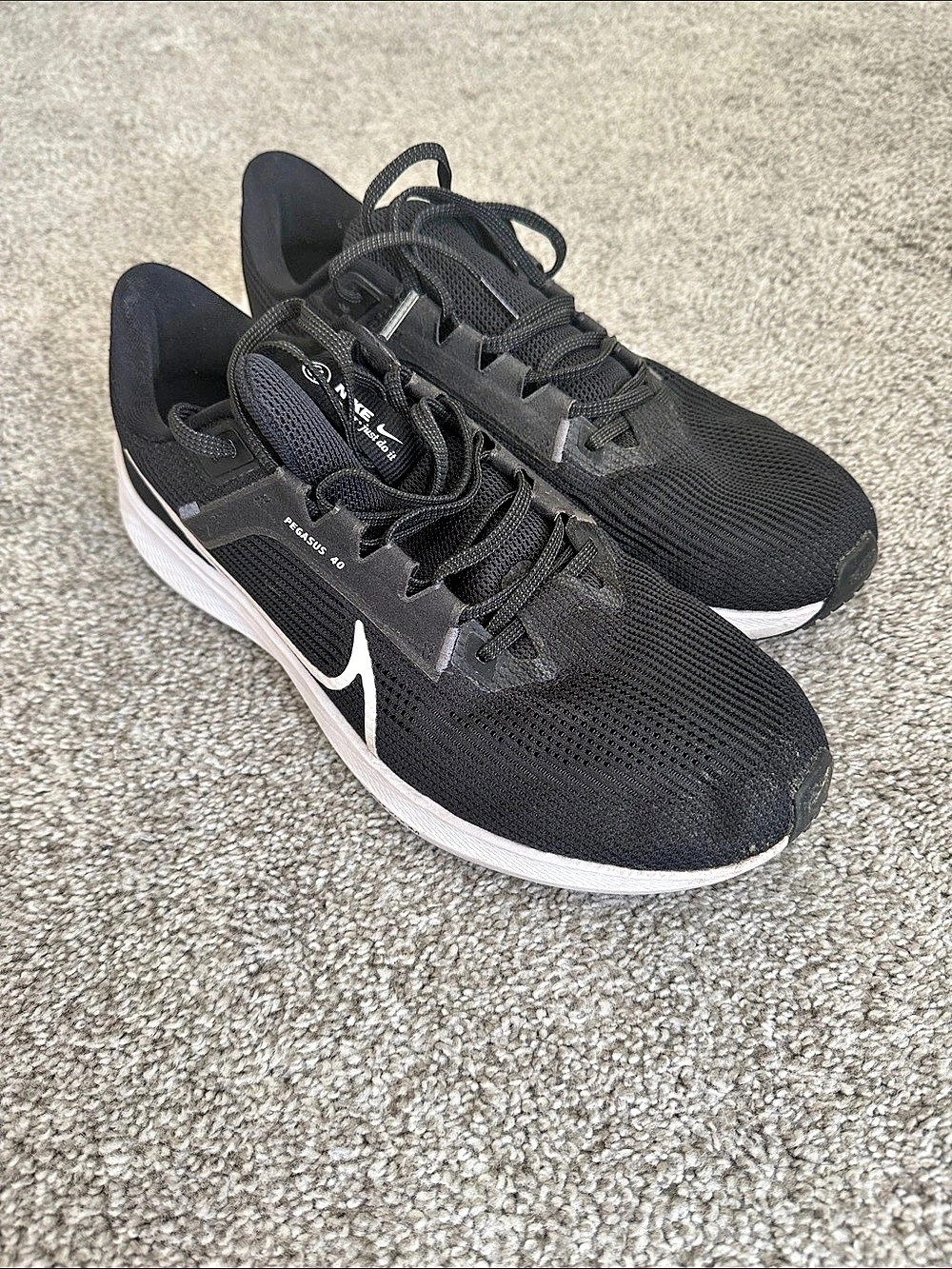 Nike Air Zoom Pegasus 40 Men 12